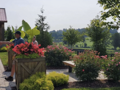 Unique Horse Farm Tour: Lexington Kentucky Horse Farms Tour